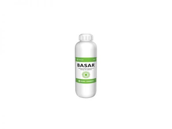 BASAR 1L